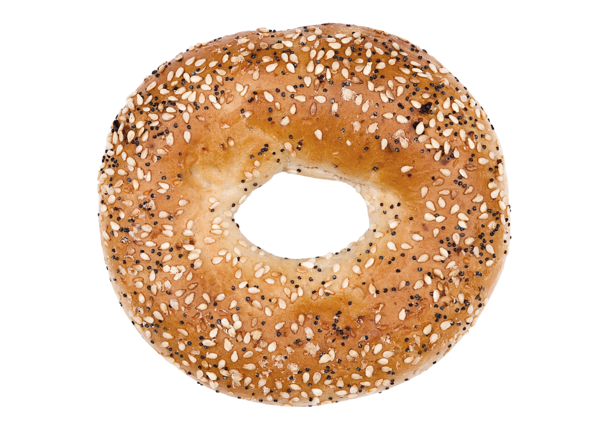 Everything Bagel